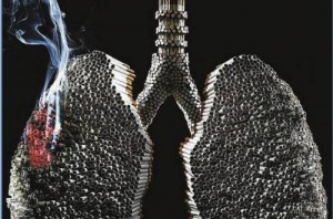 8ca881e640_aa7119177785099ed765412c0c20e725-M